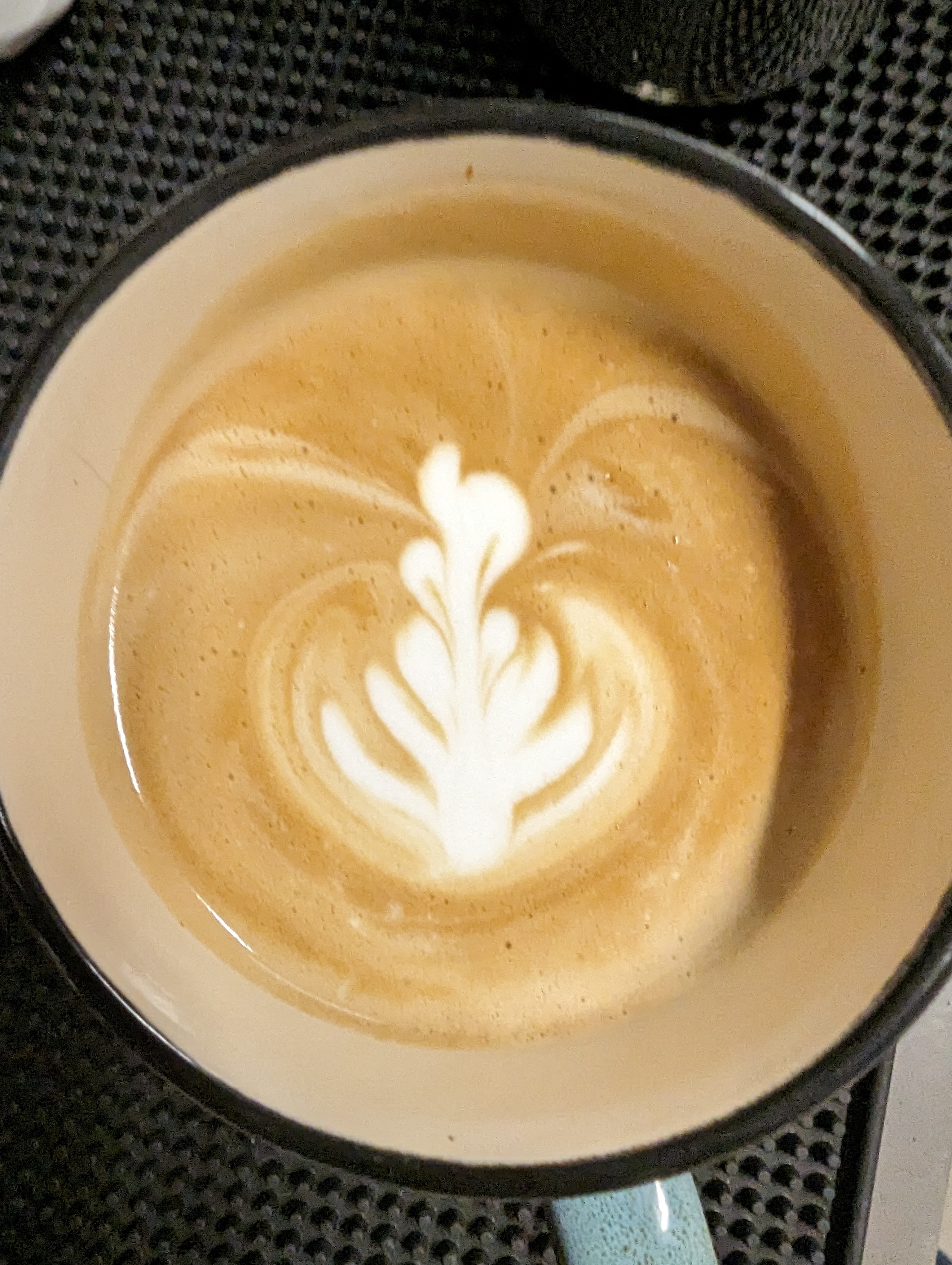 fern latte